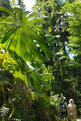 0228 Centenary Lakes